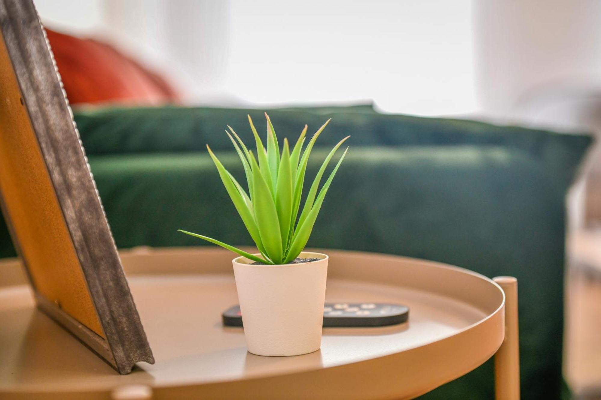 Studio Magda - Fibre Et Tv - Calme Et Confortable Saint-Quentin  Esterno foto